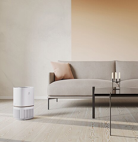 air purifier and air care