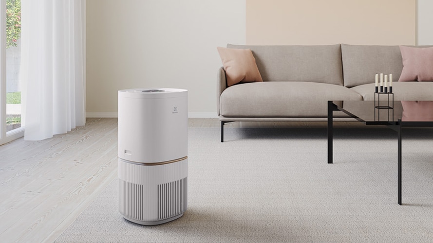 Air Purifier Buying Guide