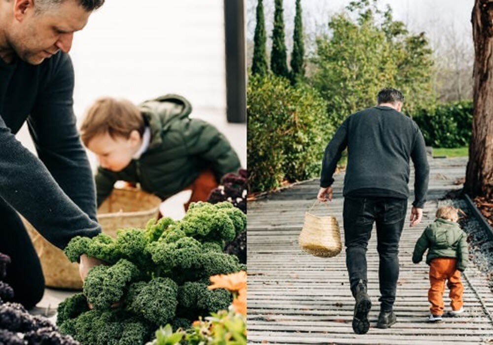 Make the most of your food scraps