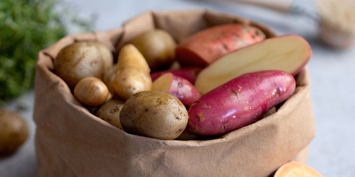 potato
