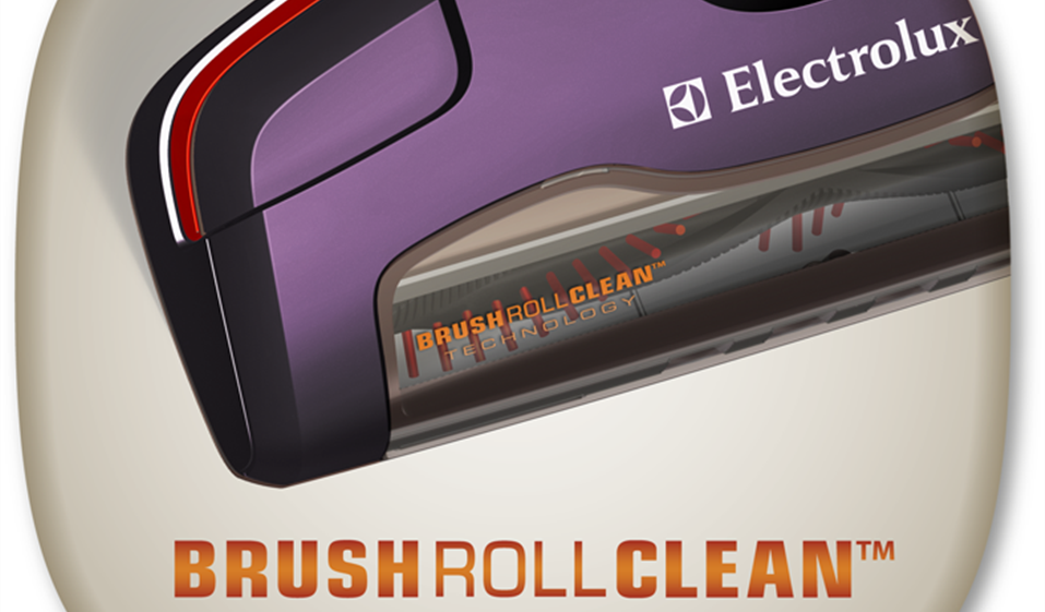 Ergorapido™ 2 in 1 with Brush Roll Clean™ Technology. - ZB2932