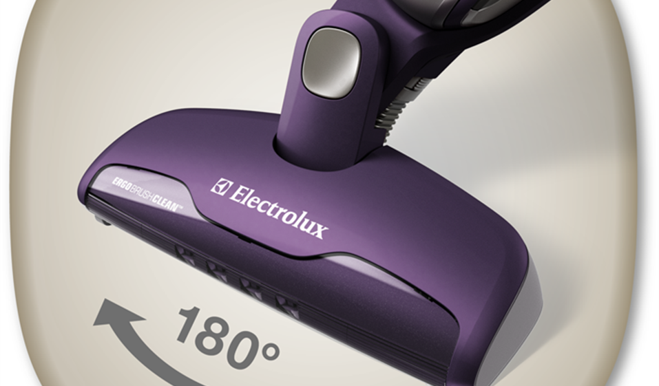 Ergorapido™ 2 in 1 with Brush Roll Clean™ Technology. - ZB2932