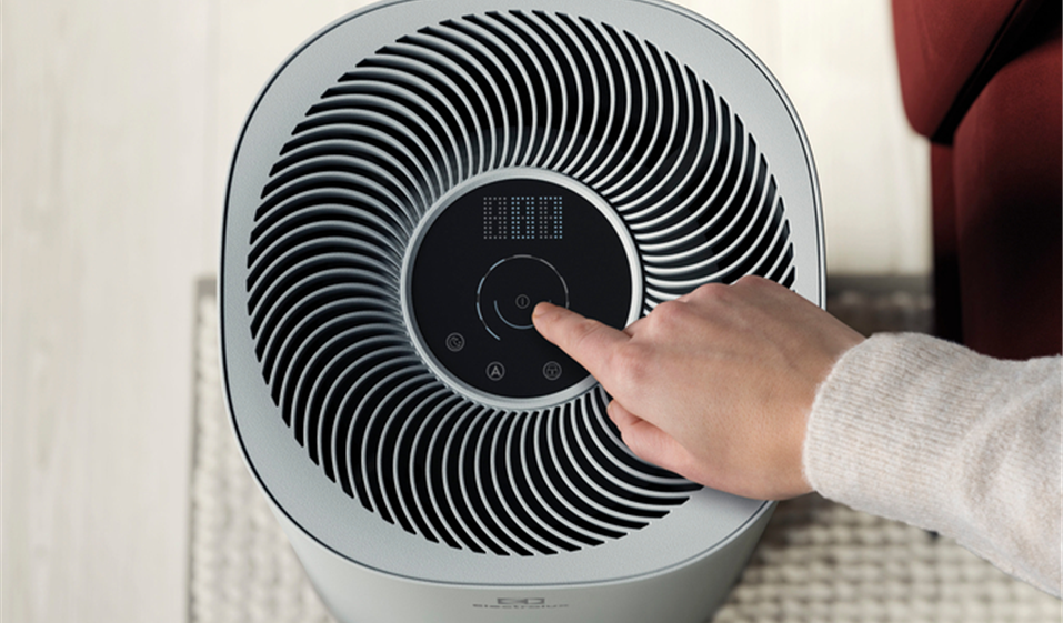 UltimateHome 300 Air Purifier - FA31-202GY | Electrolux