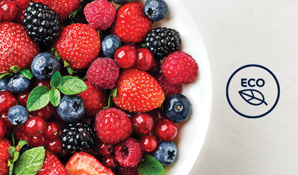 OPTIMISE FRIDGE ENERGY EFFICIENCY