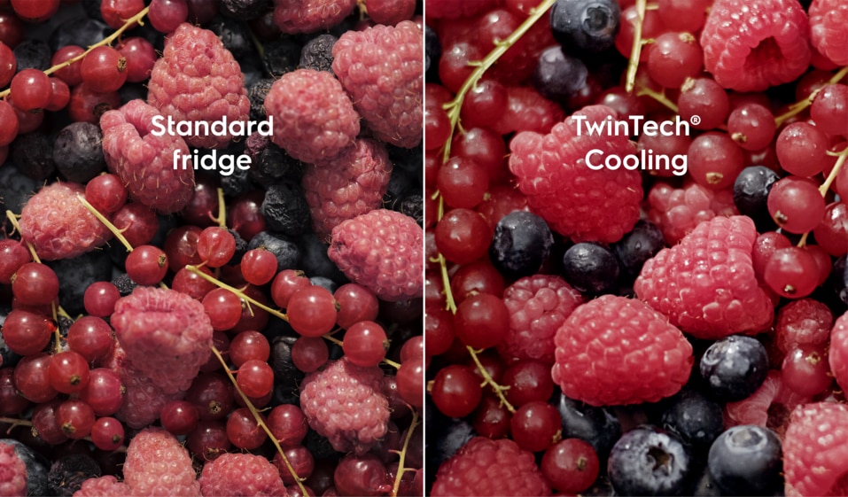 OPTIMAL COOLING AND FRESHNESS