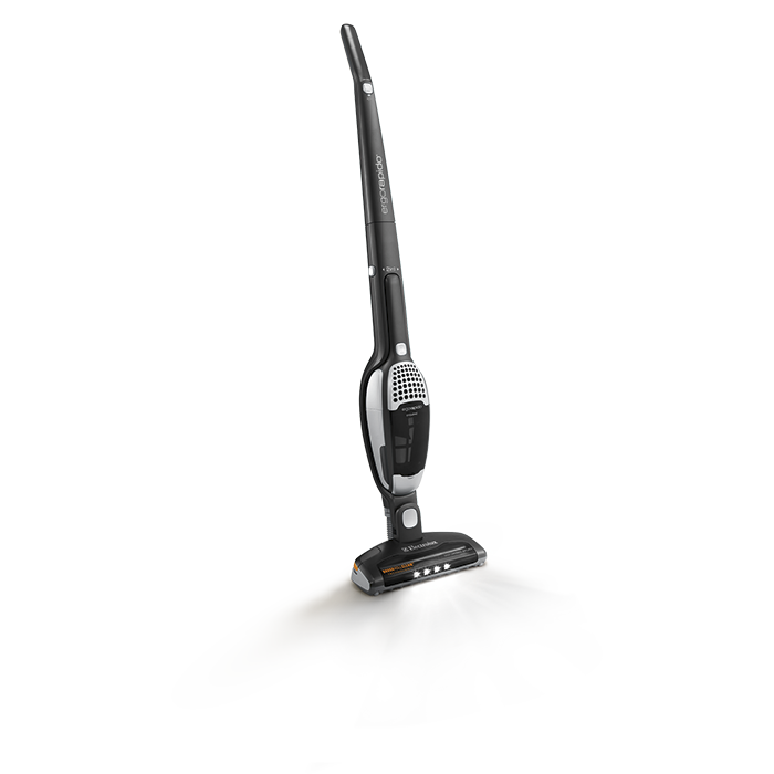 Ergorapido™ 2 in 1 with Brush Roll Clean™ Technology. - ZB2935